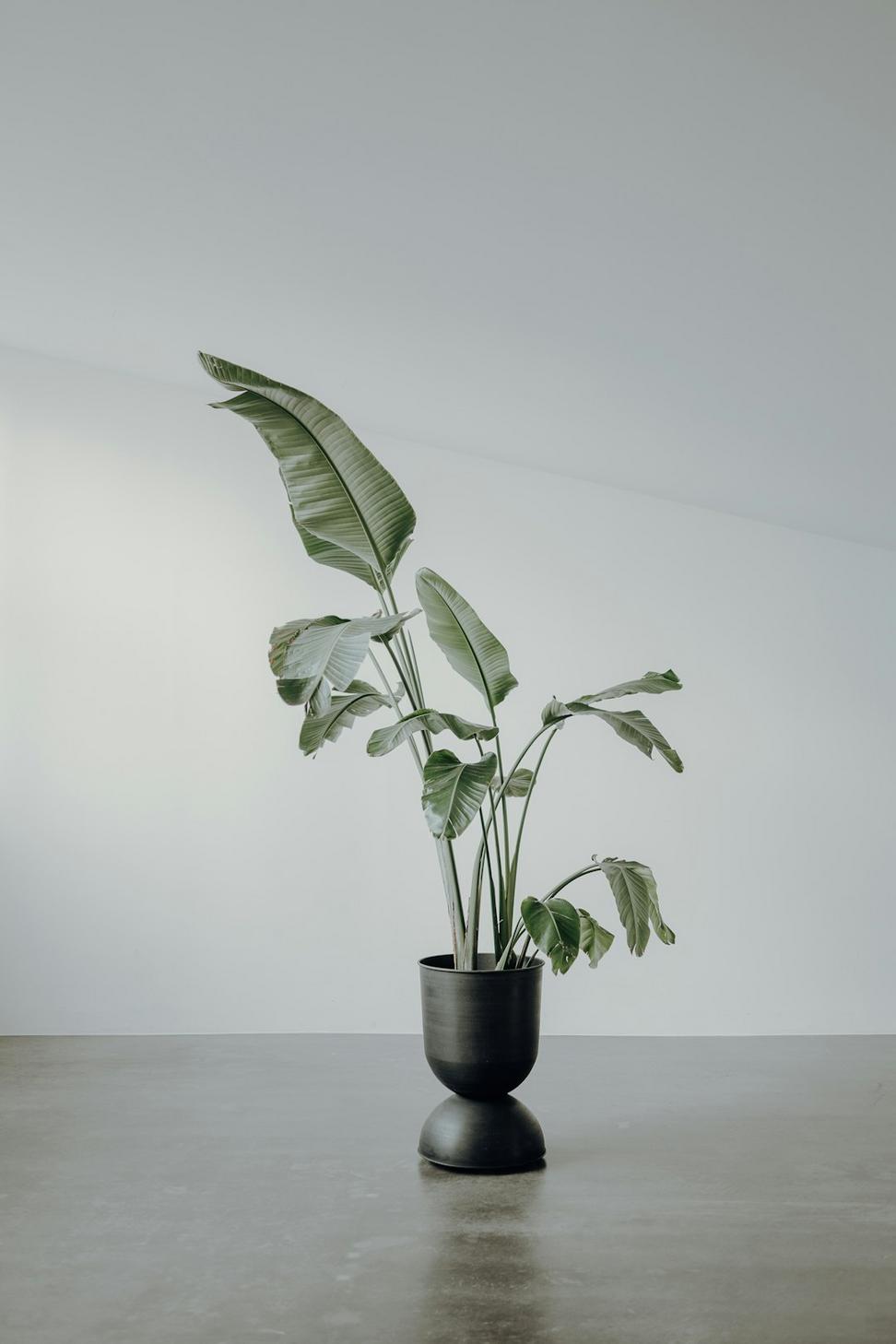 Embercrest Studio